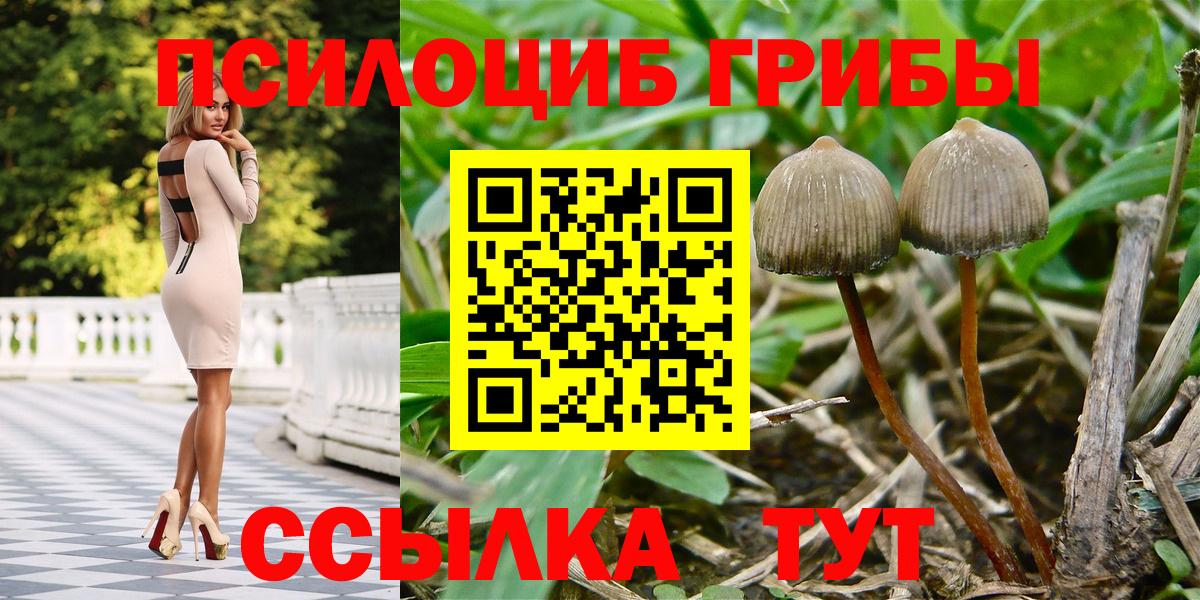 Галлюциногенные грибы ЛСД  где можно купить наркотик  Набережные Челны  Вход с VPN 